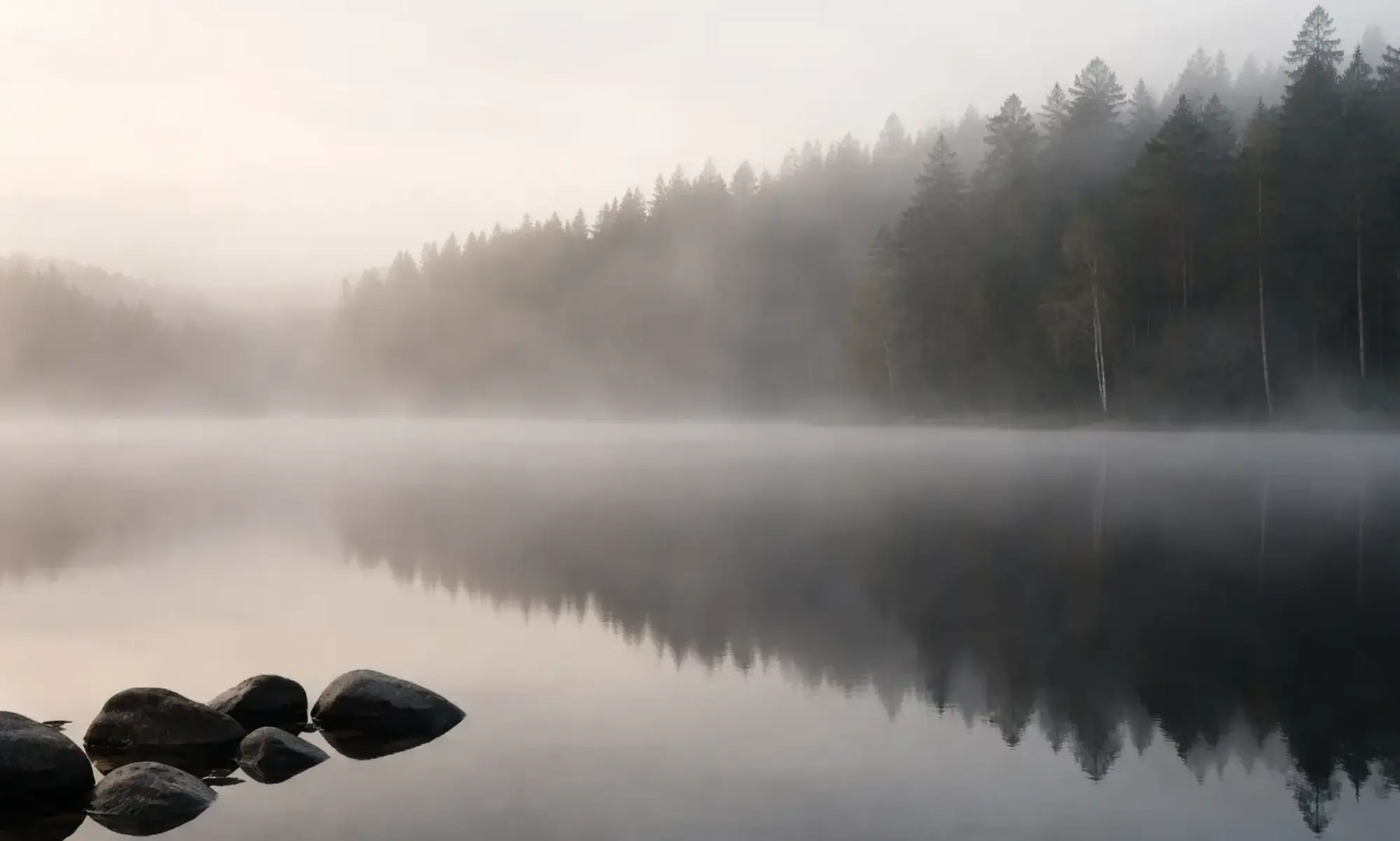 Turtle Coaching: Struktur und Handlungsfähigkeit für neurodivergente Menschen